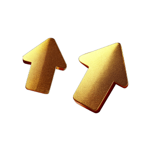 Founder 5 Avatar